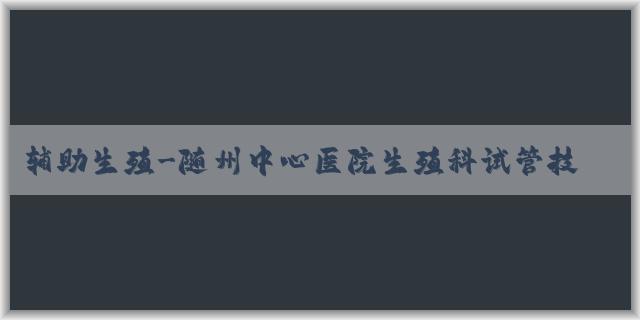 辅助生殖-随州中心医院生殖科试管技术怎样？能一次就成功吗？